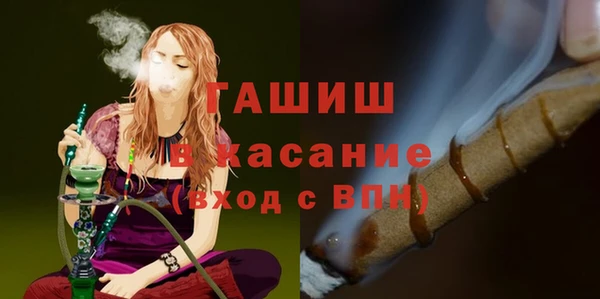 spice Богородицк